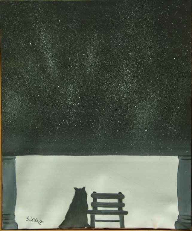Silueta de un animal junto a una banca bajo un cielo lleno de estrellas.