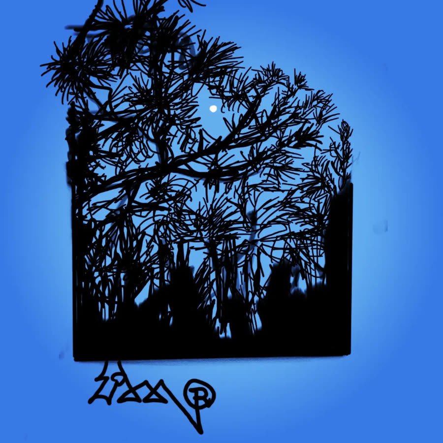 Pinos en silueta negra sobre un cielo azul intenso.